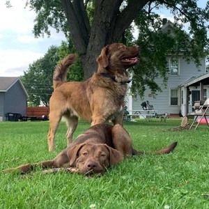 Meet your Posher, James